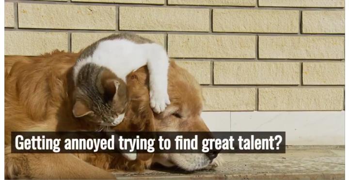 Annoyed trying to find great talent?