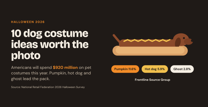 Dog Halloween Costume Ideas 2026: 10 Easy Picks