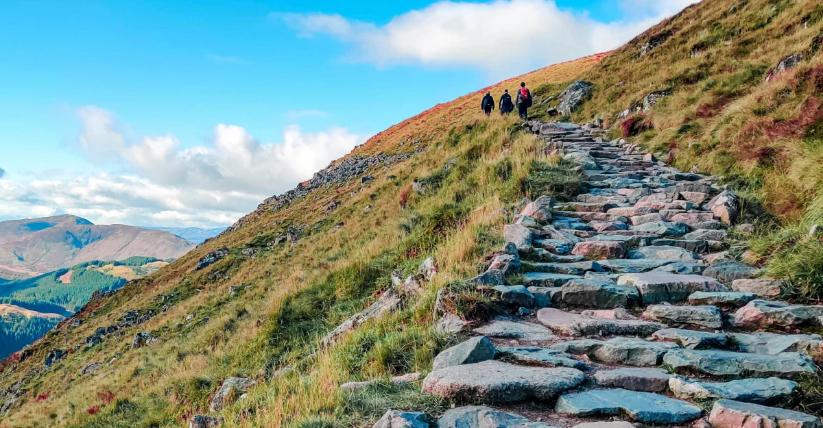 Exploration and determination on the path to professional goals, hard work quotes theme
